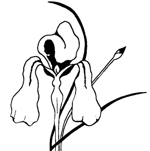 Nancy Albrecht Photo 17