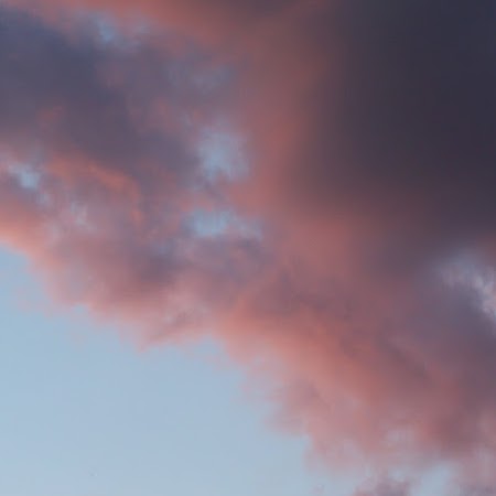 Renee Parks Photo 21