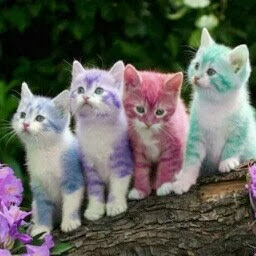 Michelle Langford Photo 26