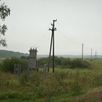 Stefanie Newman Photo 15