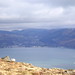 Ross Cooley Photo 22