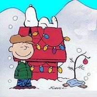 Robin Mcclintock Photo 28