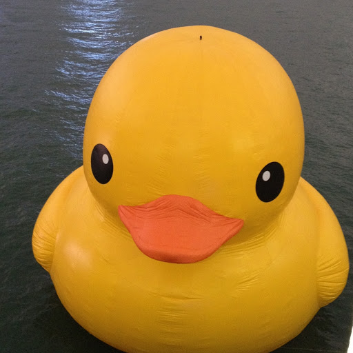 Cindy Kwong Photo 15