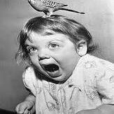 Julie Mcclendon Photo 13