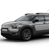 Michael Collard Photo 23