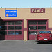 Pam Wilkes Photo 21