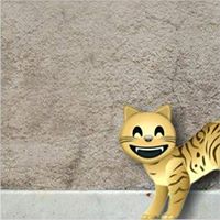 Gustavo Lopez Photo 25