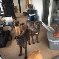 James Everson Photo 10