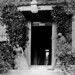 Jane Johns Photo 21