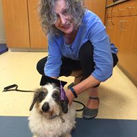 Debra Ballinger Photo 4