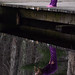 Alison Norris Photo 22