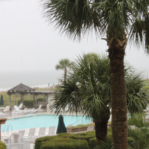 Shannon Hart Photo 29