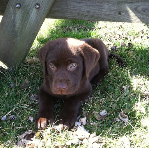 Kathleen Crowe Photo 19