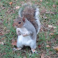 Eugene Weber Photo 11 Eugene Weber Photo 11