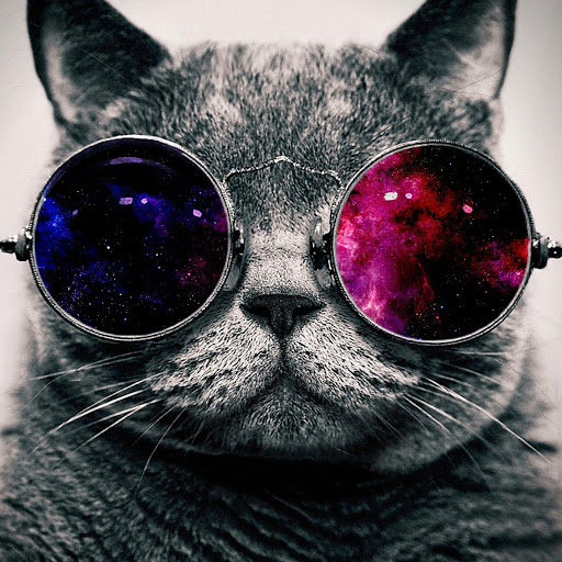 Alisa Davis Photo 17 Alisa Davis Photo 17