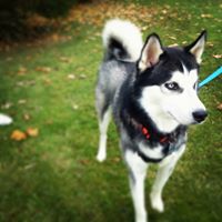 William Mcknight Photo 26