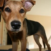 Bailey Patrick Photo 11