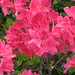 Jane Abbott Photo 14