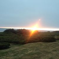 Elizabeth Willard Photo 15