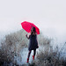 Christina Waters Photo 25