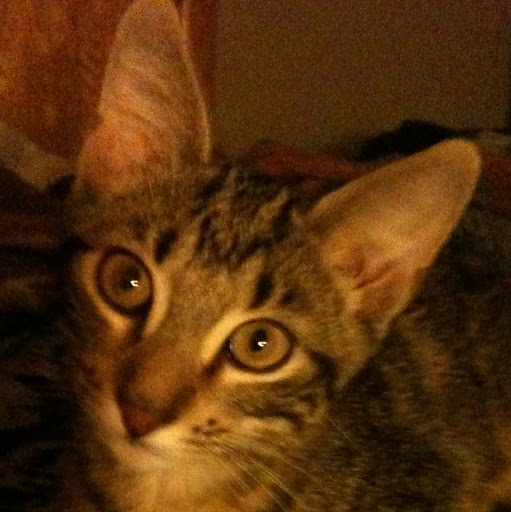 Christine Vanzant Photo 1