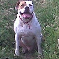 Peter Martin Photo 59