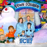 Debbie Curren Photo 3