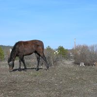 Janet Storey Photo 9