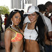 Mark Spellman Photo 10