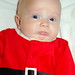 Robert Sperling Photo 9