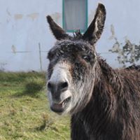 Thomas Hennessy Photo 40