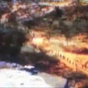 Eric Mcleod Photo 36