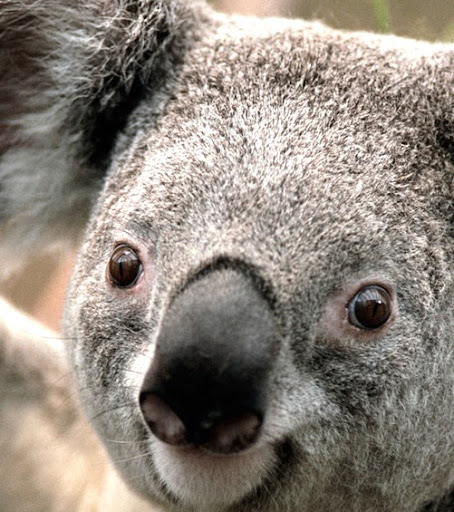 Charles Downs Photo 13