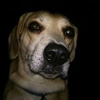 Thomas Andrews Photo 48 Thomas Andrews Photo 48