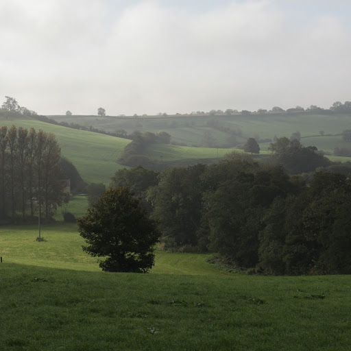 Martin Hampton Photo 22