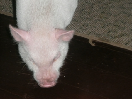 Katherine Cannon Photo 18