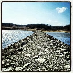 Michelle Spencer Photo 49