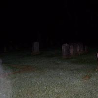 Suzanne Holden Photo 5