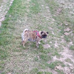 Angela Gerlach Photo 21