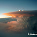 Steve Maciejewski Photo 23