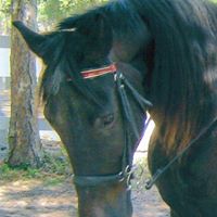 Shawn Brewer Photo 31