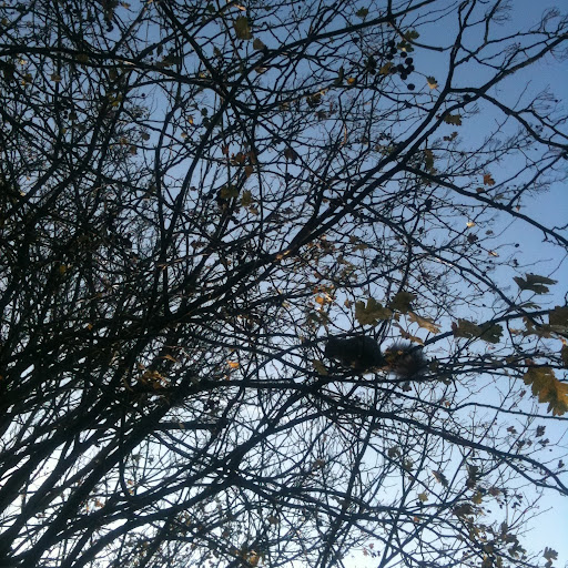 Louise Allan Photo 6