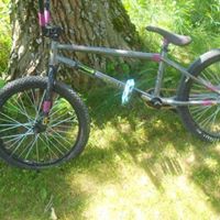 William Carr Photo 37