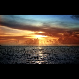 Michael Hopp Photo 14