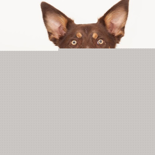 Russell Small Photo 7