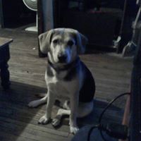 James Salyer Photo 10