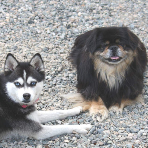 Kerry Kilbride Photo 9