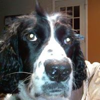 Brian Berlin Photo 38