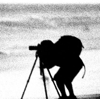 Denise Dube Photo 34