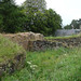 Douglas Simpson Photo 15